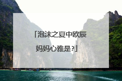泡沫之夏中欧辰妈妈心雅是?
