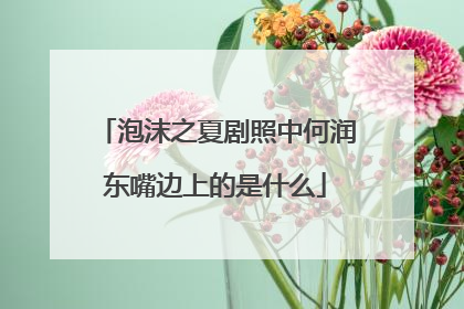 泡沫之夏剧照中何润东嘴边上的是什么
