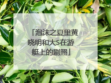 泡沫之夏里黄晓明和大S在游艇上的剧照
