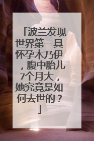 波兰发现世界第一具怀孕木乃伊，腹中胎儿7个月大，她究竟是如何去世的？