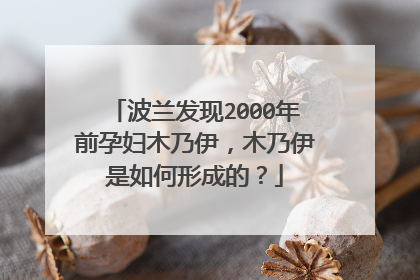 波兰发现2000年前孕妇木乃伊，木乃伊是如何形成的？