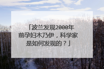 波兰发现2000年前孕妇木乃伊，科学家是如何发现的？