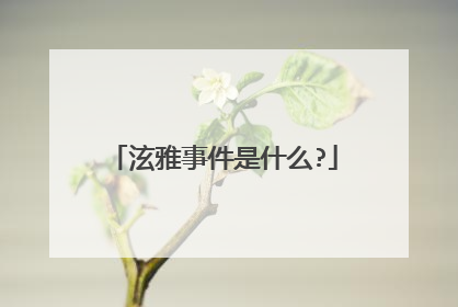 泫雅事件是什么?