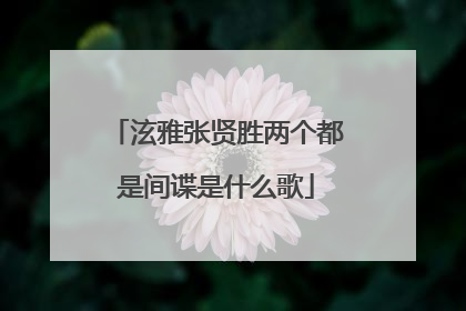 泫雅张贤胜两个都是间谍是什么歌
