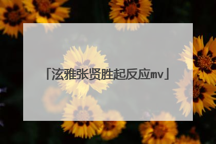 泫雅张贤胜起反应mv