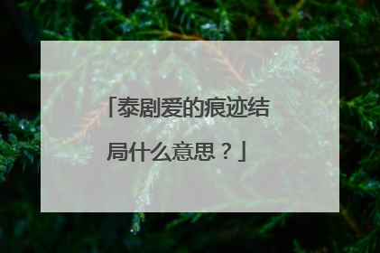 泰剧爱的痕迹结局什么意思？