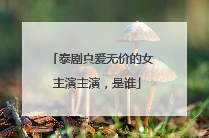 泰剧真爱无价的女主演主演，是谁