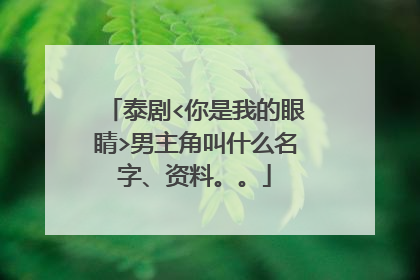 泰剧<你是我的眼睛>男主角叫什么名字、资料。。