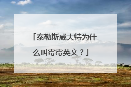 泰勒斯威夫特为什么叫霉霉英文？