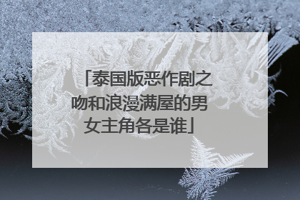 泰国版恶作剧之吻和浪漫满屋的男女主角各是谁