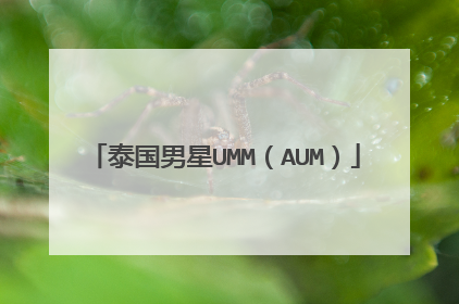 泰国男星UMM(AUM)