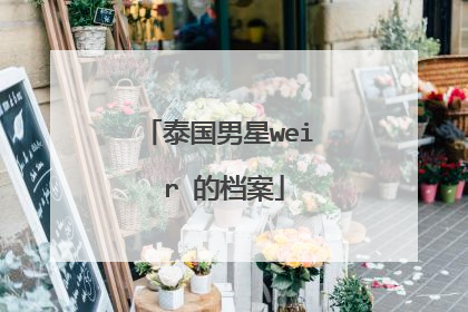 泰国男星wei r 的档案