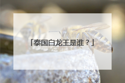 泰国白龙王是谁？