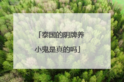 泰国的阴牌养小鬼是真的吗