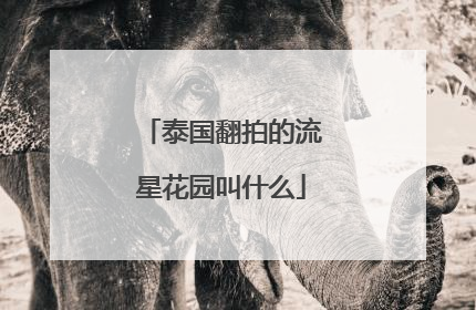 泰国翻拍的流星花园叫什么