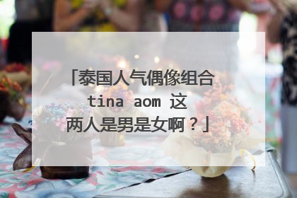 泰国人气偶像组合 tina aom 这两人是男是女啊？