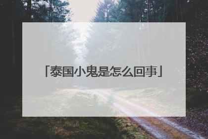 泰国小鬼是怎么回事