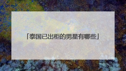 泰国已出柜的男星有哪些