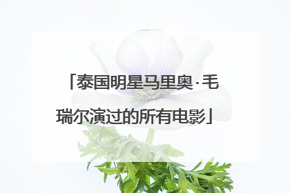 泰国明星马里奥·毛瑞尔演过的所有电影