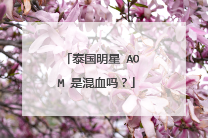 泰国明星 AOM 是混血吗?