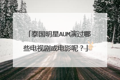泰国明星AUM演过哪些电视剧或电影呢？