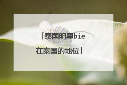 泰国明星bie在泰国的地位