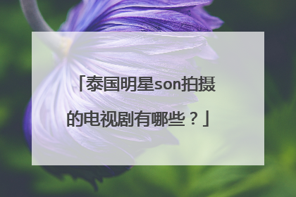 泰国明星son拍摄的电视剧有哪些？