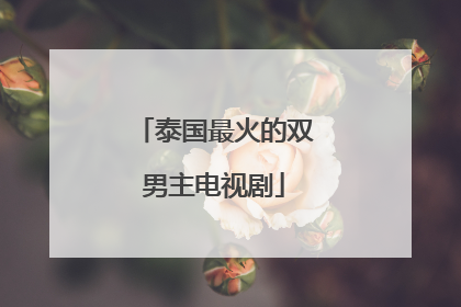 泰国最火的双男主电视剧