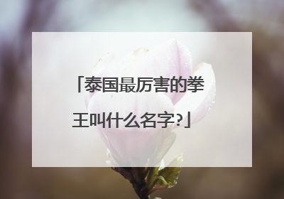 泰国最厉害的拳王叫什么名字?