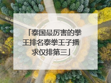 泰国最厉害的拳王排名泰拳王子播求仅排第三