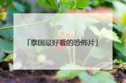 泰国最好看的恐怖片