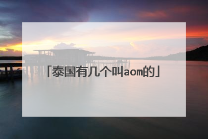 泰国有几个叫aom的