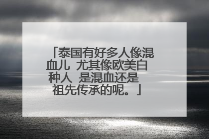 泰国有好多人像混血儿 尤其像欧美白种人 是混血还是 祖先传承的呢。