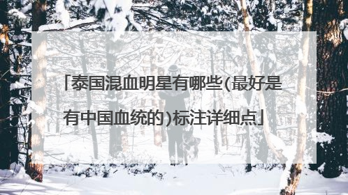 泰国混血明星有哪些(最好是有中国血统的)标注详细点