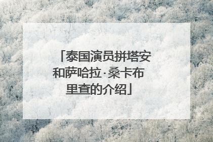泰国演员拼塔安和萨哈拉·桑卡布里查的介绍