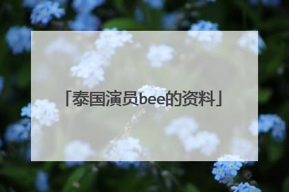 泰国演员bee的资料