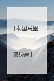 泰国马里奥身高