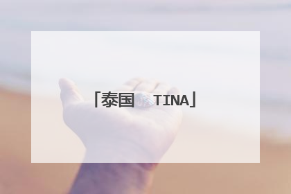泰国 TINA