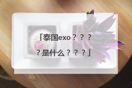 泰国exo????是什么???