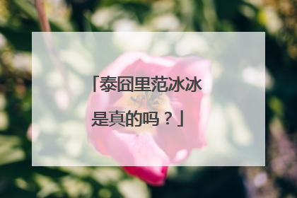 泰囧里范冰冰是真的吗？