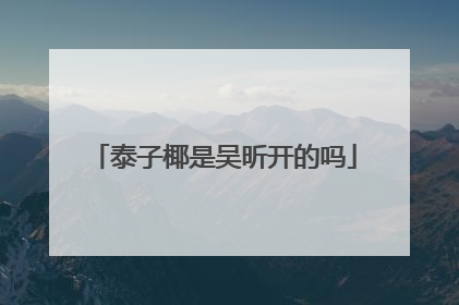 泰子椰是吴昕开的吗