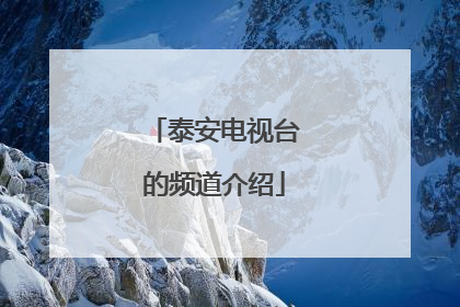 泰安电视台的频道介绍