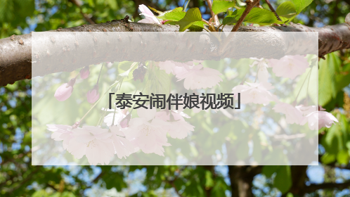 泰安闹伴娘视频