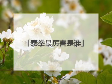 泰拳最厉害是谁