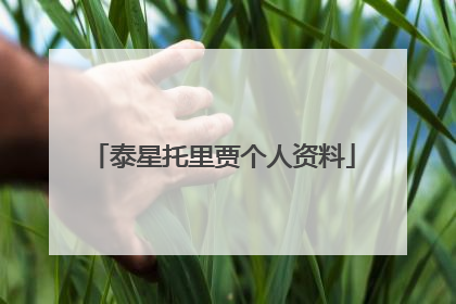 泰星托里贾个人资料