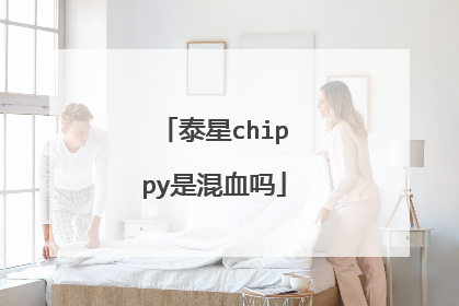 泰星chippy是混血吗