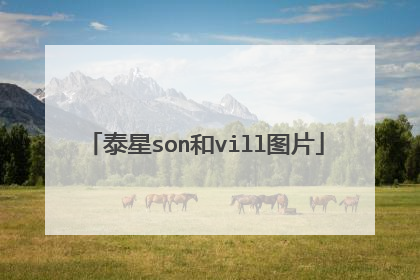泰星son和vill图片