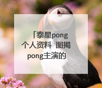 泰星pong个人资料 图揭pong主演的电视剧有哪些