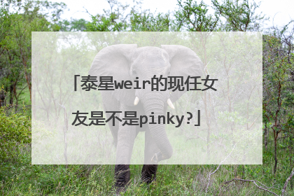 泰星weir的现任女友是不是pinky?