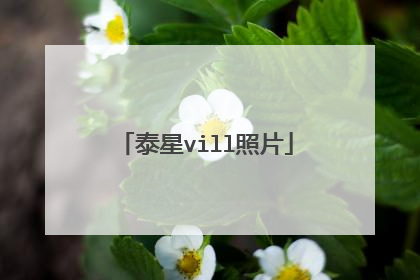 泰星vill照片